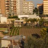...� possibile  osservare un appezzamento di terreno su cui � presente un recinto circondato da bassi alberi. Fin qui tutto normale se non fosse che all�interno di quella gabbia si trovano una serie di animali non propriamente �made in Italy�